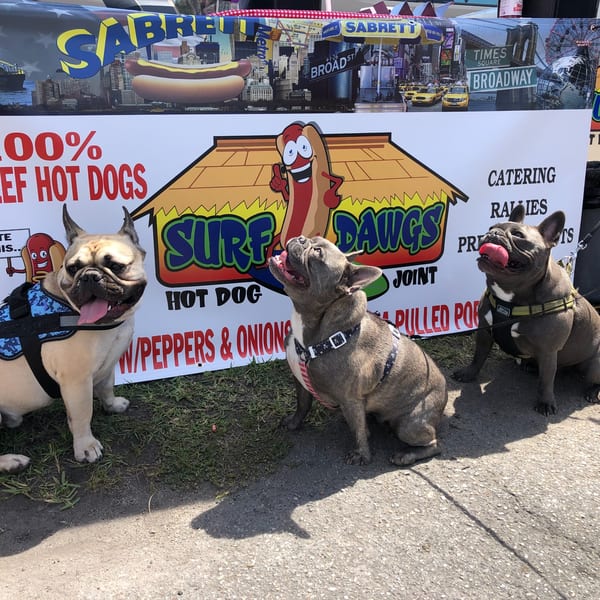 Three French Bulldogs sit in front of a Surf Dawgs Grill banner featuring a hot dog mascot.